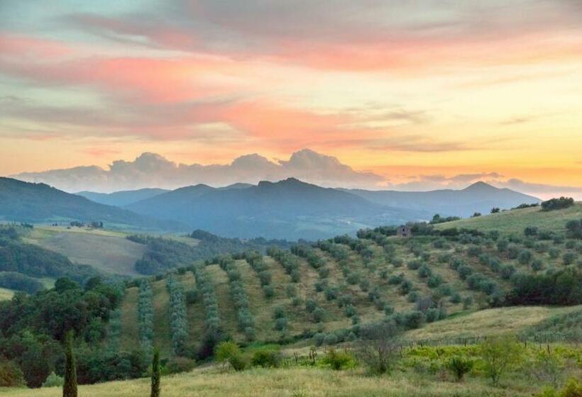 带1个卧室的公寓, Agriturismo San Tommaso