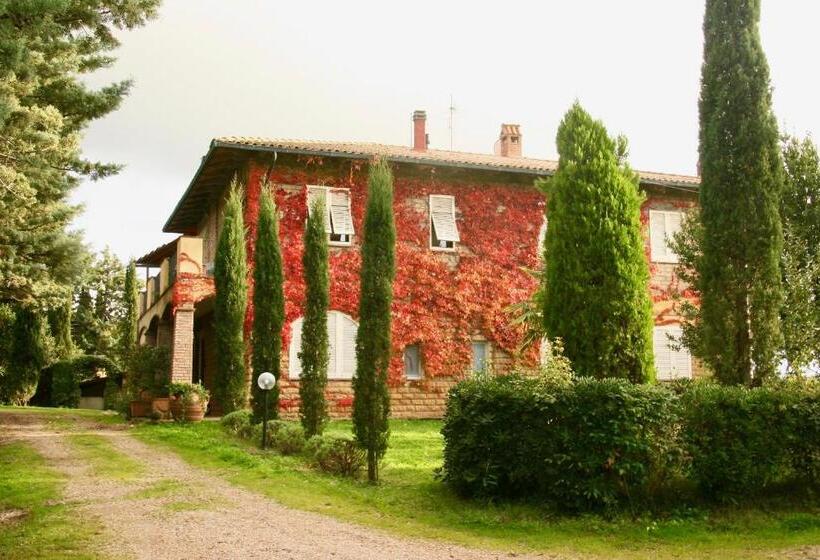 带1个卧室的公寓, Agriturismo San Tommaso