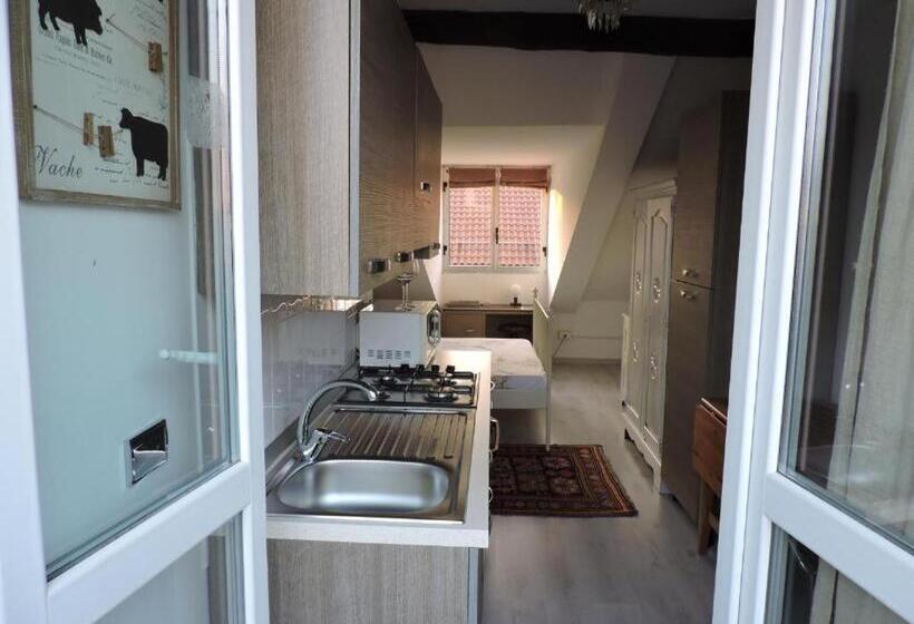 استودیو استاندارد با بالکن, Residenze Torinesi