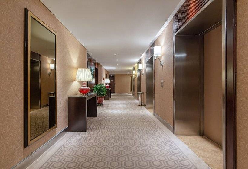 Номер Executive, Binbei Yiho