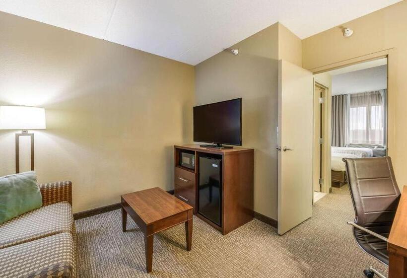 Suite, Comfort Suites Chicago O Hare Airport
