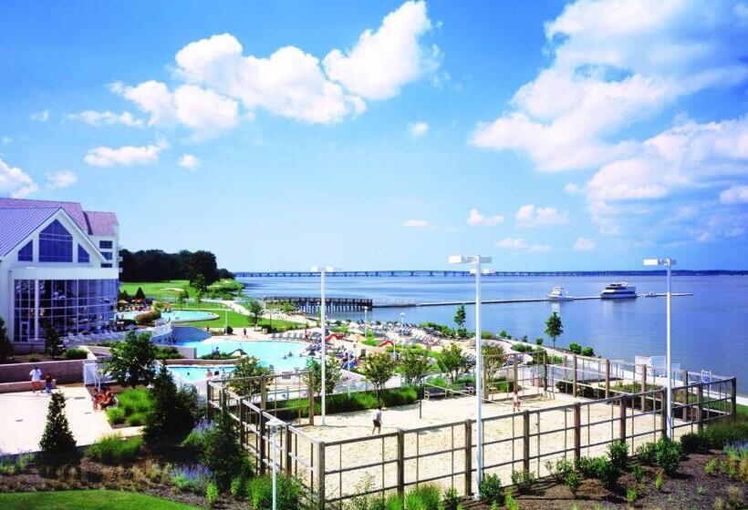 身障者適用キングサイズベッドルーム, Hyatt Regency Chesapeake Bay Golf Resort, Spa & Marina