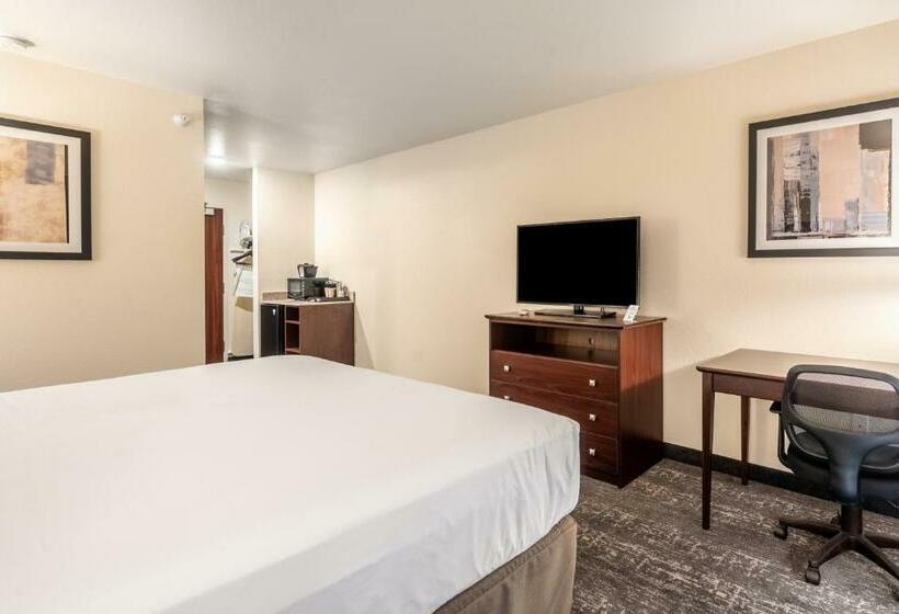 장애인을 위한 킹사이즈 침대 스탠다드 룸, Cobblestone Hotel & Suites   Newport