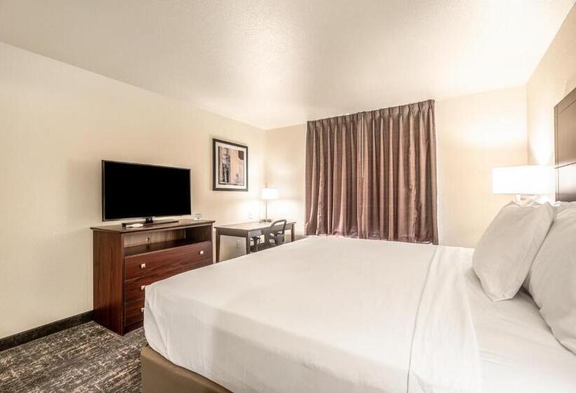 스탠다드 룸 킹사이즈 침대, Cobblestone Hotel & Suites   Newport