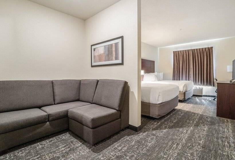 스탠다드 스튜디오, Cobblestone Hotel & Suites   Newport