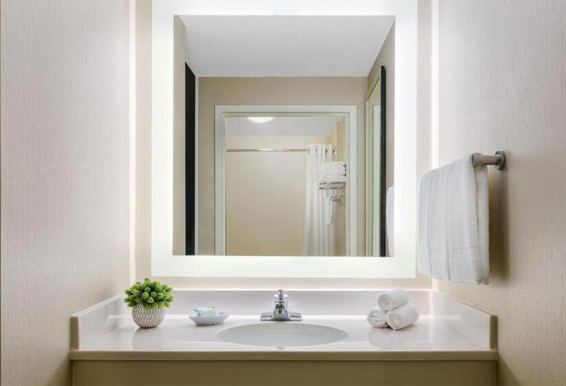 带2个双人床的标准工作室, Springhill Suites Manchesterboston Regional Airport