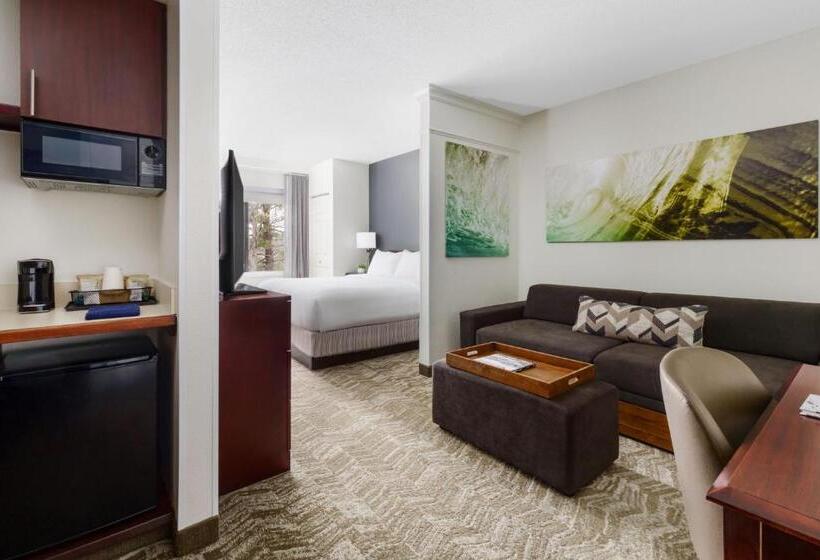 带大床的套房, Springhill Suites Manchesterboston Regional Airport