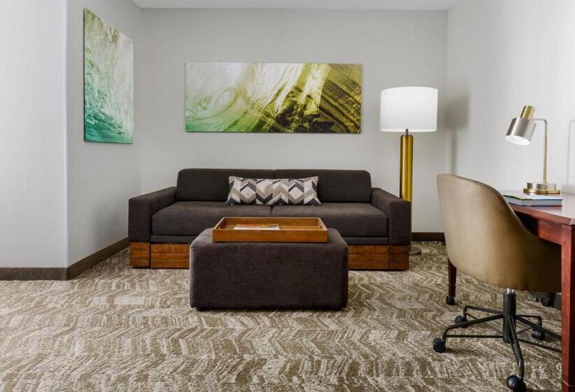 带大床的套房, Springhill Suites Manchesterboston Regional Airport
