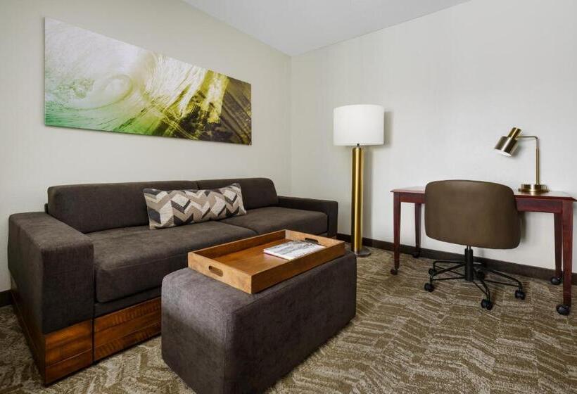 带双人大床的行政管理套房, Springhill Suites Manchesterboston Regional Airport