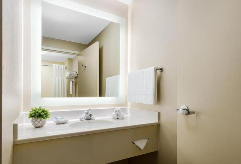 اتاق استاندارد با 2 تخت دوبل, Springhill Suites Manchesterboston Regional Airport