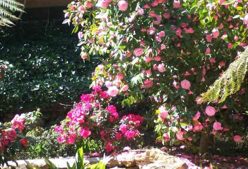 가든 전망 스위트, Adelaide Hills B&b Accommodation