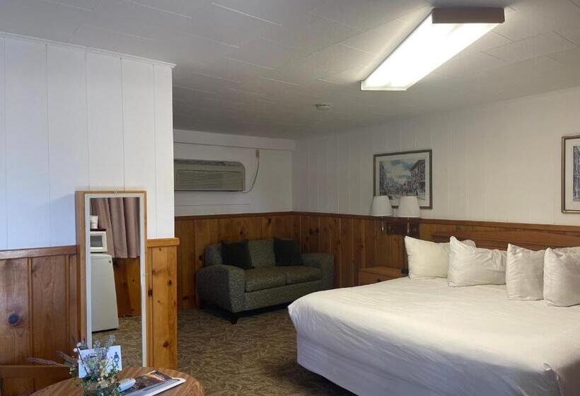 Стандартный Номер Кровать Кинг, Saddle & Surrey Motel