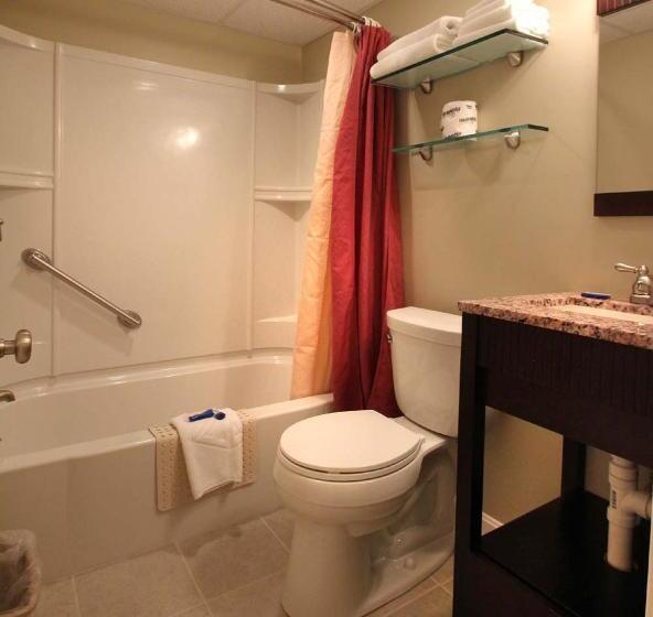 Номер Стандарт, Studio East Motel