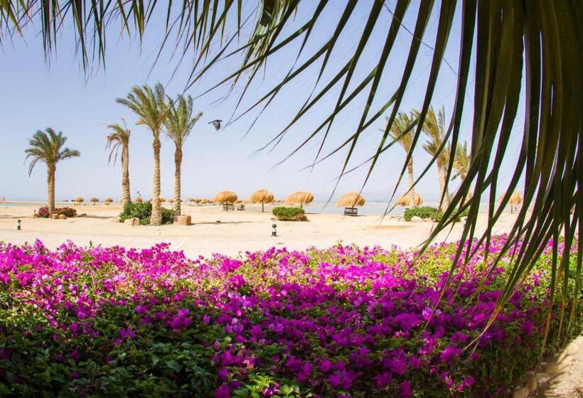 اتاق استاندارد با چشم‌انداز دریا, Green Sudr Resort