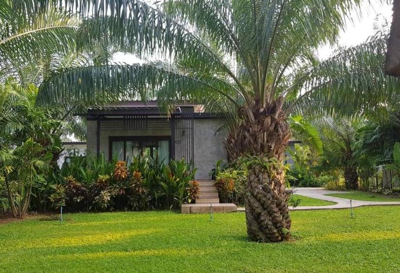 4인용 스탠다드 룸, Palm Pran Resort
