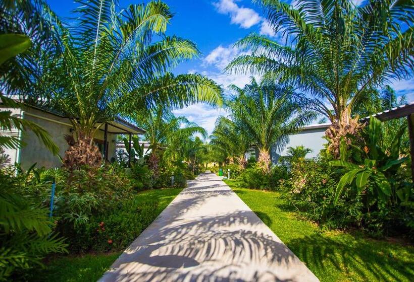 기본룸, Palm Pran Resort