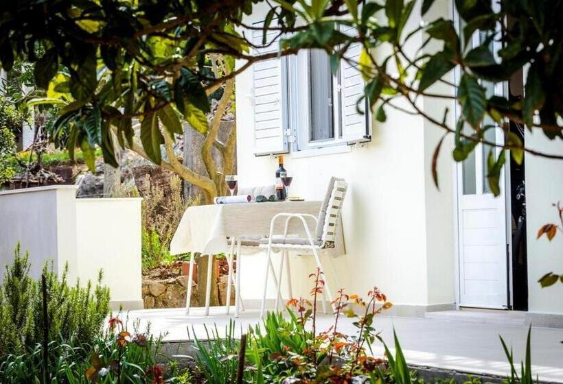 Студио Стандарт с Террасой, Guest House Rooms Rose