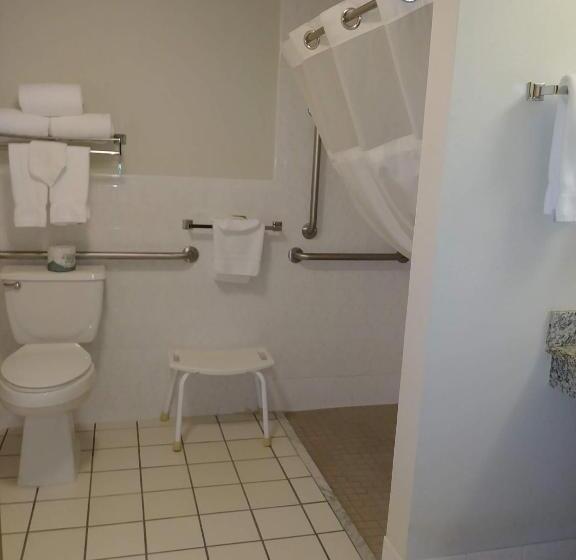 Номер Deluxe Адаптированный для Инвалидов, Americinn By Wyndham Windsor Ft. Collins