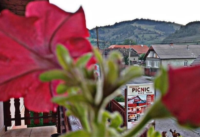 Номер Стандарт, Picnic Panzio