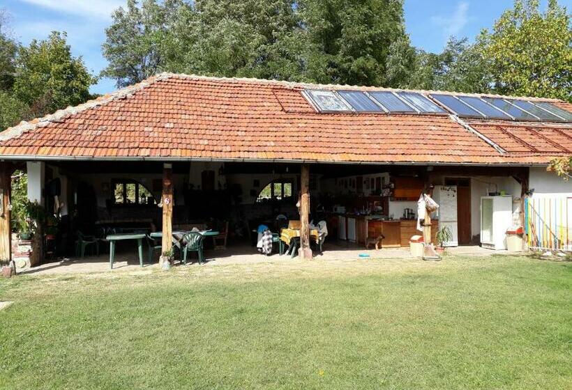 Номер Стандарт, Chuchi Guest House 1