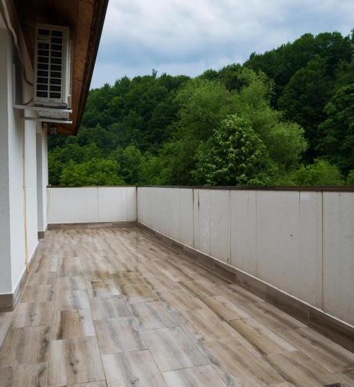 Апартаменты 1 Спальня, Guest House Valevtsi