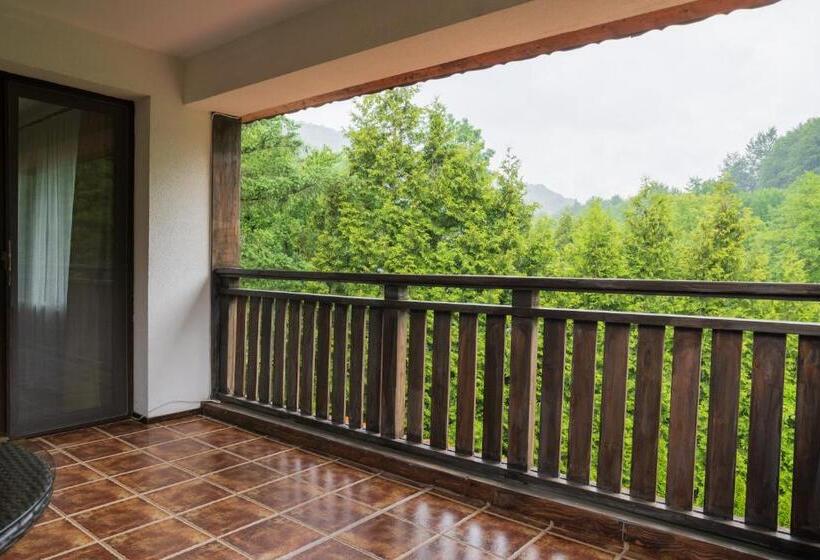 Апартаменты 1 Спальня, Guest House Valevtsi