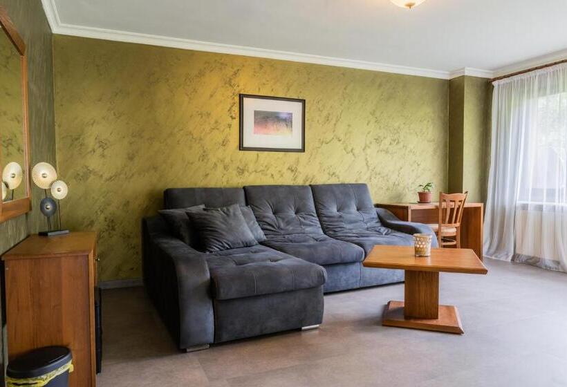 Апартаменты 1 Спальня, Guest House Valevtsi