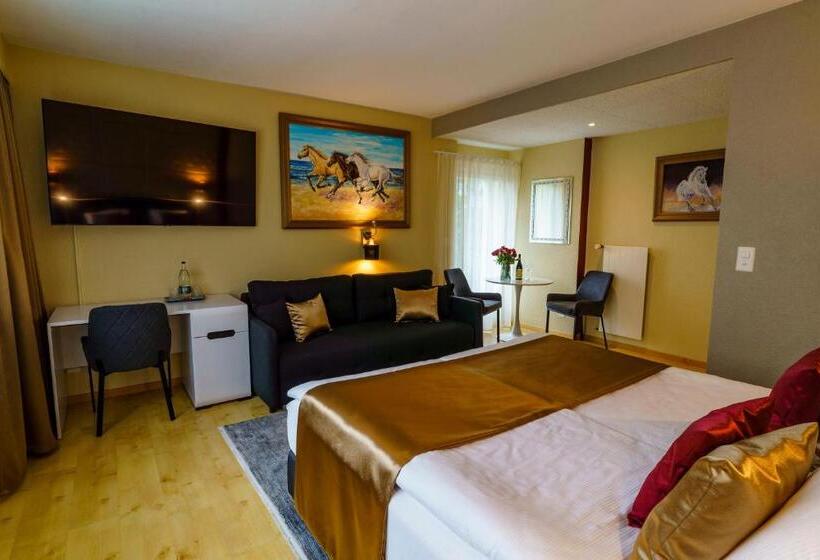Номер Стандарт, Seeblick Smart Hotel Rössli