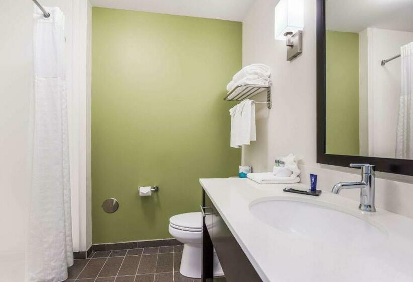 Стандартный Номер Кровать Кинг, Best Western Park City Wichita North