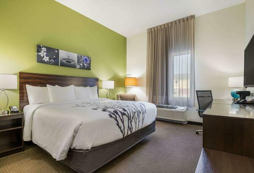 Стандартный Номер Кровать Кинг, Best Western Park City Wichita North
