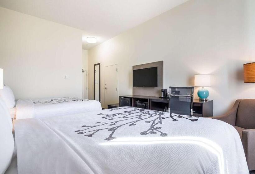 Номер Стандарт 2 Двуспальные Кровати, Best Western Park City Wichita North
