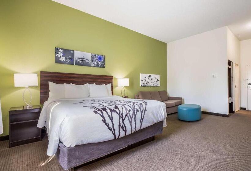 Люкс Кровать Кинг, Best Western Park City Wichita North