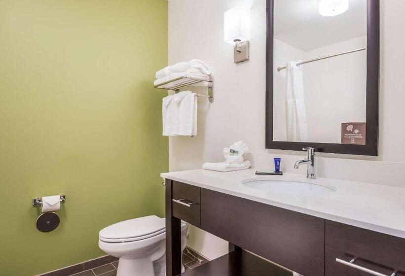 Люкс Кровать Кинг, Best Western Park City Wichita North