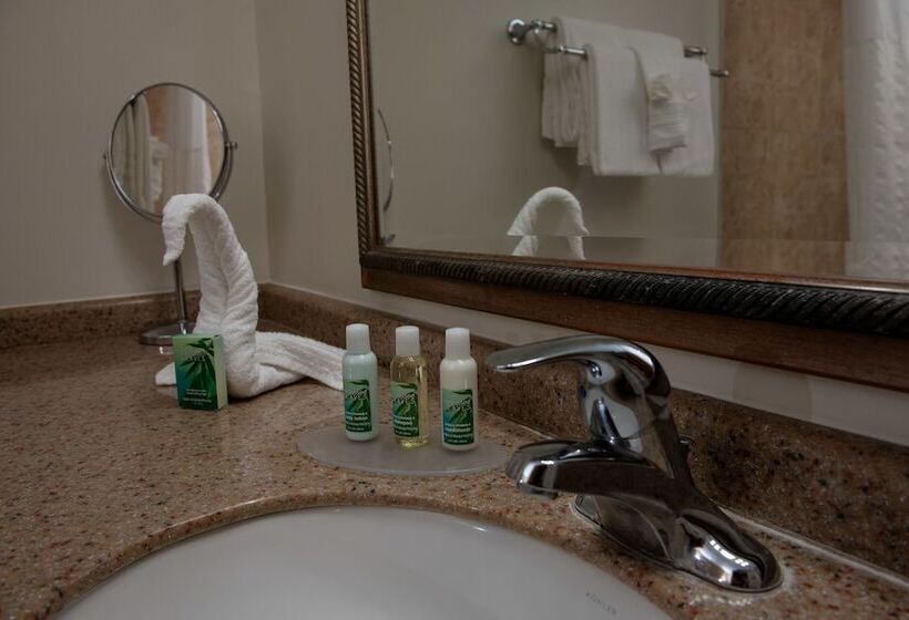 اتاق کلاس بیزنس, Caribe Hotel Ponce