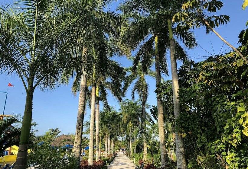Cameră Superioară, Allegro Cozumel All Inclusive