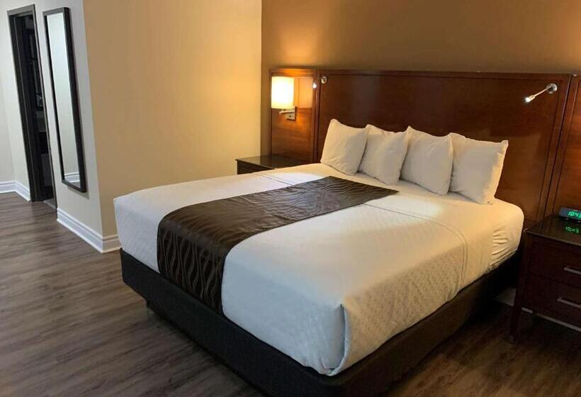 스탠다드 룸 킹사이즈 침대, Surestay Hotel By Best Western Kemptville