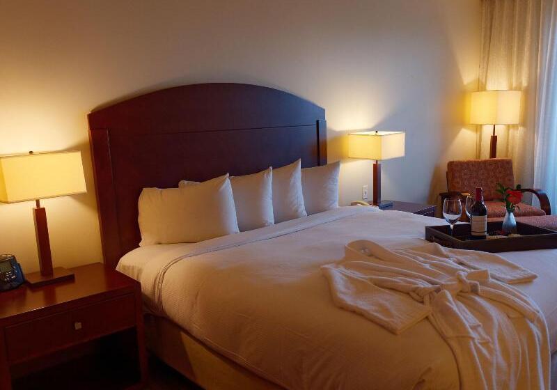استودیوی لوکس, Costa Bahia Hotel Paseo Caribe