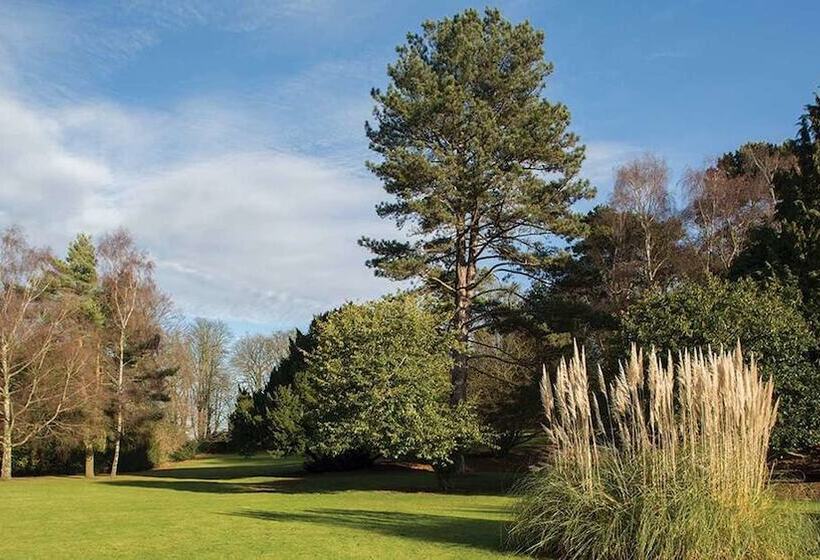 Классический Номер, Brandshatch Place & Spa