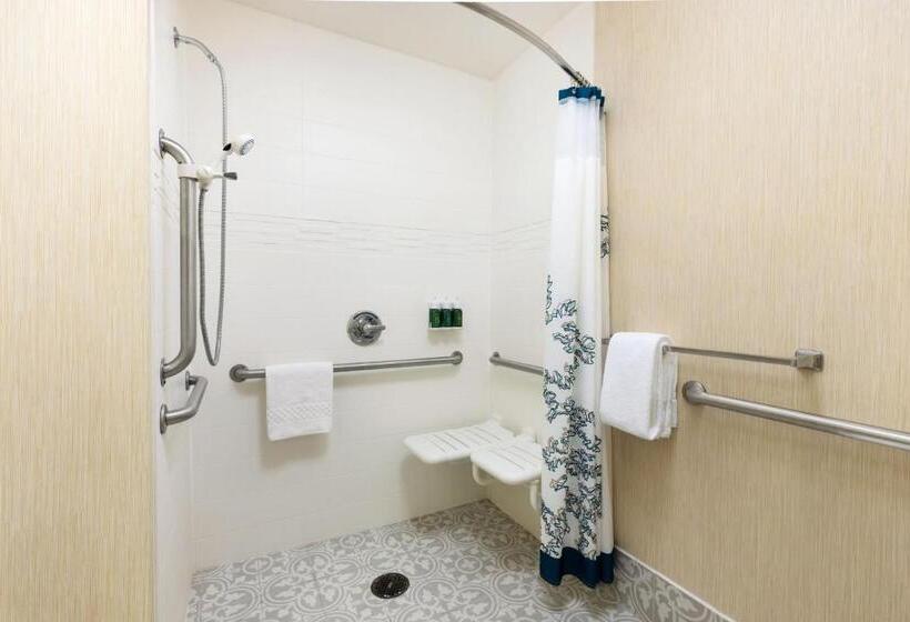 Студио Стандарт Кровать Кинг, Residence Inn Des Moines West At Jordan Creek Town Center