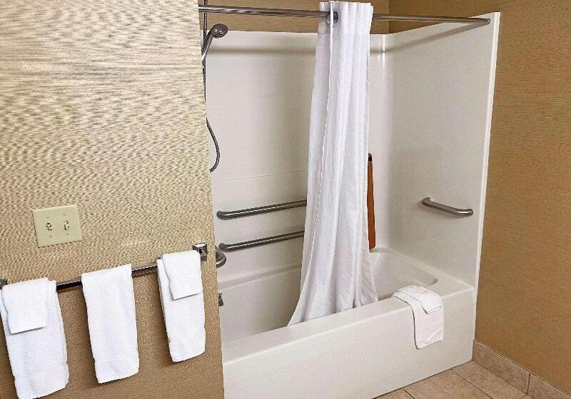 Номер Стандарт Адаптированный для Инвалидов, Country Inn & Suites By Radisson, Findlay, Oh