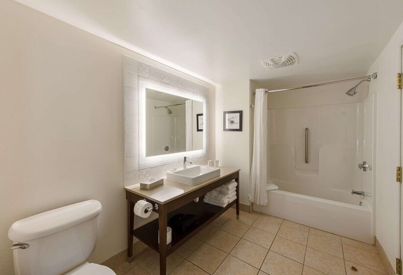 Люкс, Country Inn & Suites By Radisson, Findlay, Oh