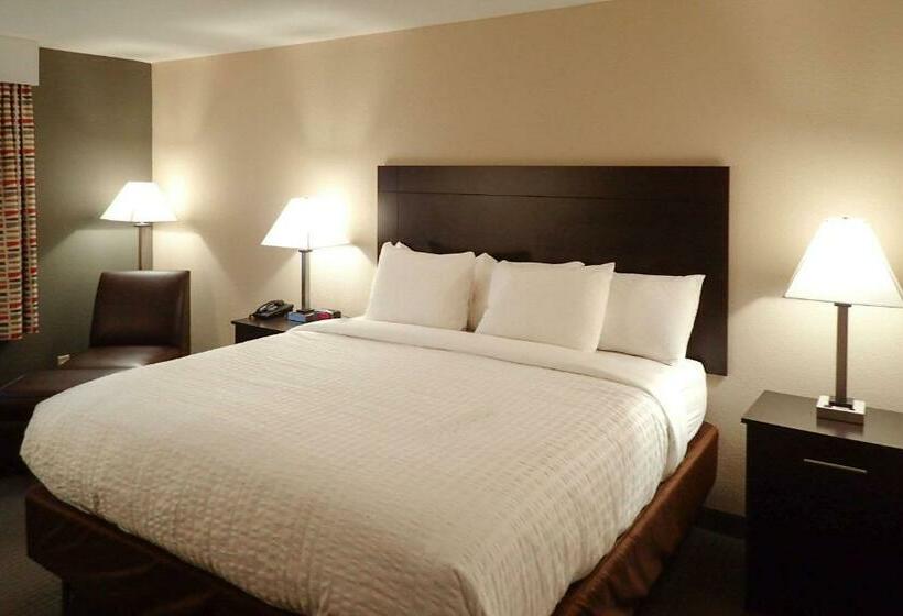 Номер Стандарт Кровать Кинг Адаптированный для Инвалидов, Days Inn & Suites By Wyndham Florence/jackson Area