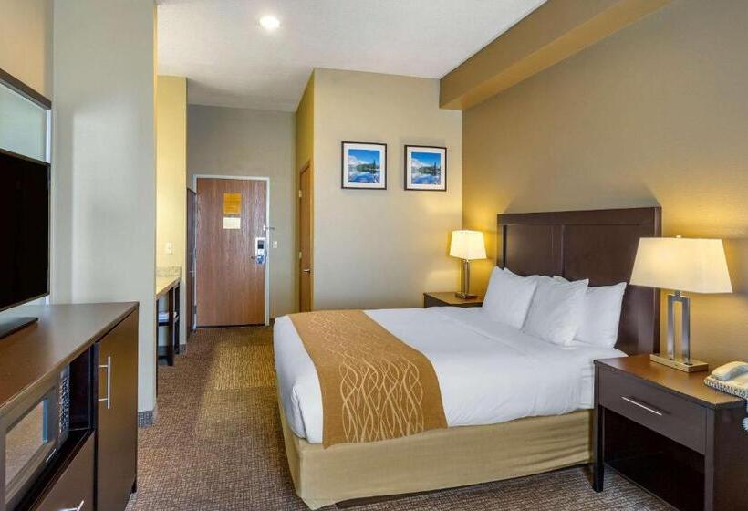 Номер Стандарт, Comfort Inn Evanston I 80