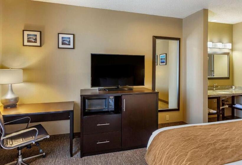 Номер Стандарт Кровать Кинг Адаптированный для Инвалидов, Comfort Inn Evanston I 80