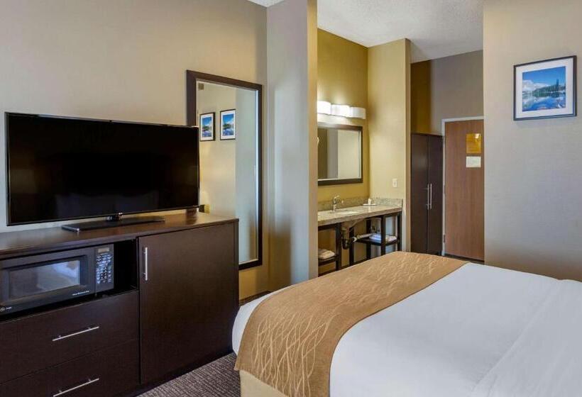 Номер Стандарт Адаптированный для Инвалидов, Comfort Inn Evanston I 80