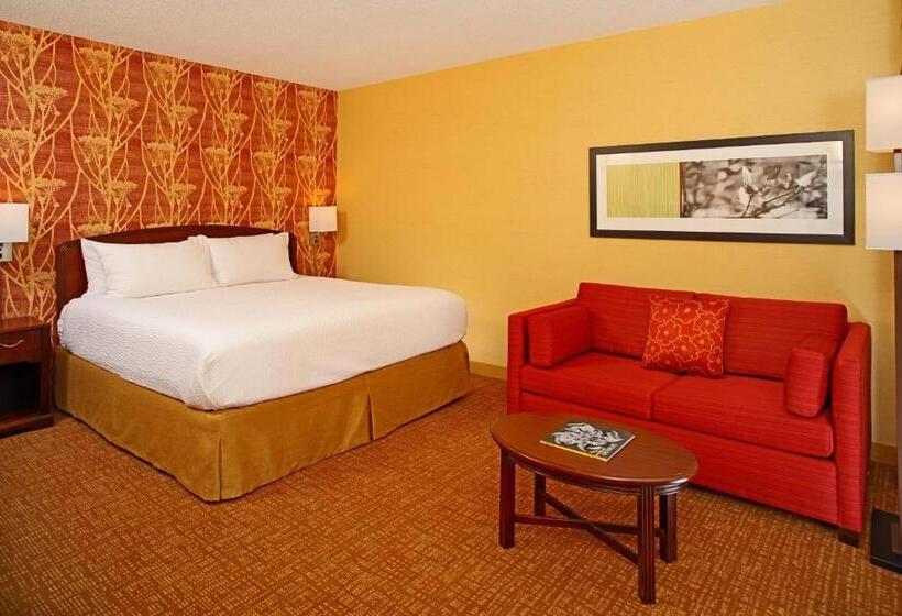 Номер Стандарт Кровать Кинг Адаптированный для Инвалидов, Courtyard By Marriott Baltimore Downtown/inner Harbor