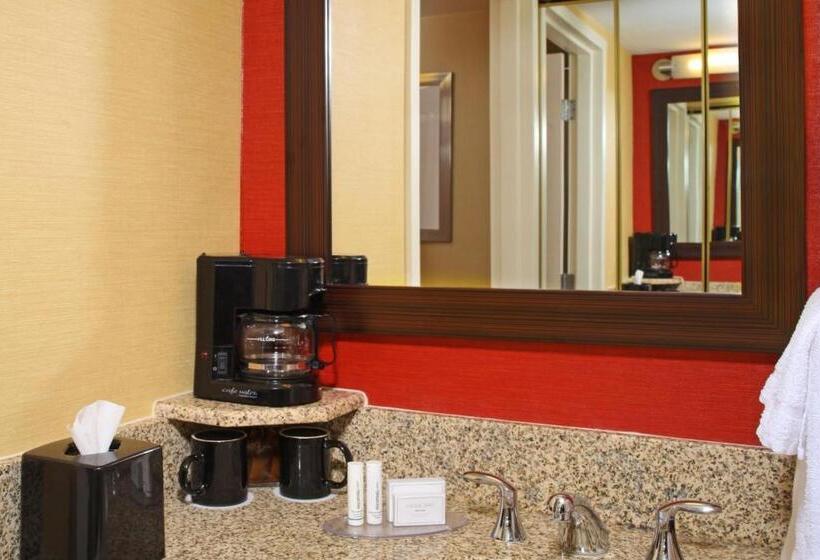 Стандартный Номер Кровать Кинг, Courtyard By Marriott Baltimore Downtown/inner Harbor