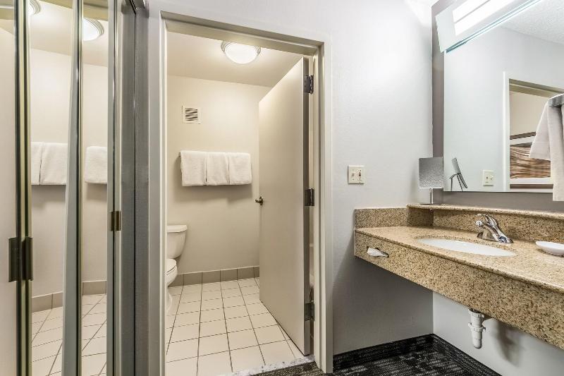 스탠다드 룸 킹사이즈 침대, Courtyard Dallas Dfw Airport South/irving
