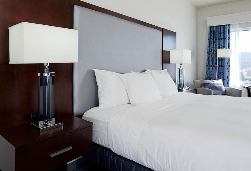 장애인을 위한 스탠다드 룸, Hilton Scranton & Conference Center
