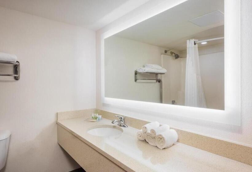 Стандартный Номер Кровать Кинг, Holiday Inn At Six Flags Saint Louis, An Ihg